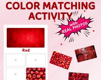 Montessori Color Matching Game: Toddler Learning Activity (Printable)