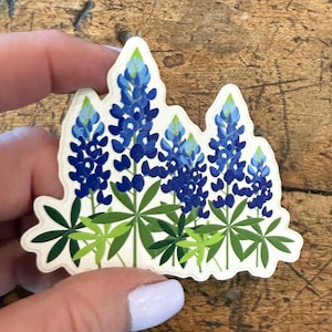 Texas Bluebonnets Sticker, 3 inch Glossy Wildflowers Decal for Laptop Water Bottle Phone Case, Gift for  Texans or Gardeners