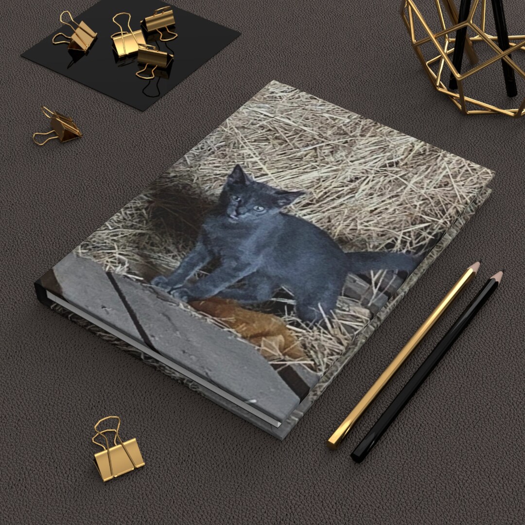 Hardcover Journal With Cat Photo, Writer's Journal, Kitten Notebook ...
