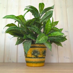 May include: A vibrant artificial plant with pointed green leaves featuring light green variegation, housed in a cylindrical yellow ceramic pot. The pot is decorated with embossed floral patterns and a textured geometric band around the base.