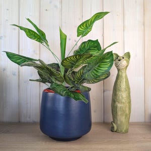 Vaso da fiori in ceramica Van Daalen Pottery, smalto blu navy opaco, bordo rosso, modello B II, anni '70, manifattura di ceramica della Germania Ovest.