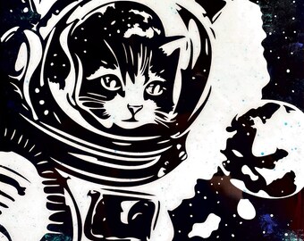 Bluford Space Cat