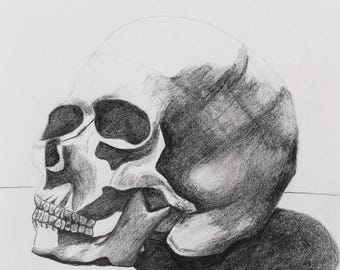 Anatomical Skull Drawing Print: Human Skull Art