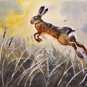 Original Hare Watercolor Print | Winter Wildlife Art | Frosty Hare Painting | Signed Animal Wall Art | Unframed Nature Illustration
