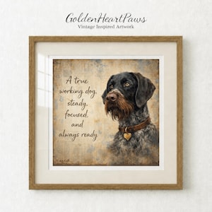 Könnte beinhalten: Gerahmtes Kunstwerk mit einem detaillierten Porträt eines Deutsch Drahthaar. Der Hund hat ein braunes und schwarzes Fell, mit einem braunen Lederhalsband und einem herzförmigen Anhänger. Text: "Ein wahrer Arbeitshund, beständig, fokussiert und immer bereit."