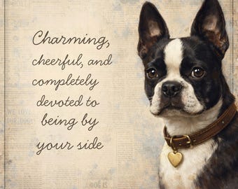 Boston Terrier Dog Gift, Boston Terrier Print, Chritstams Dog Lover Gift, Dog Portrait Pet Memorial Gift, Dog Wall Art, Boston Terrier UK