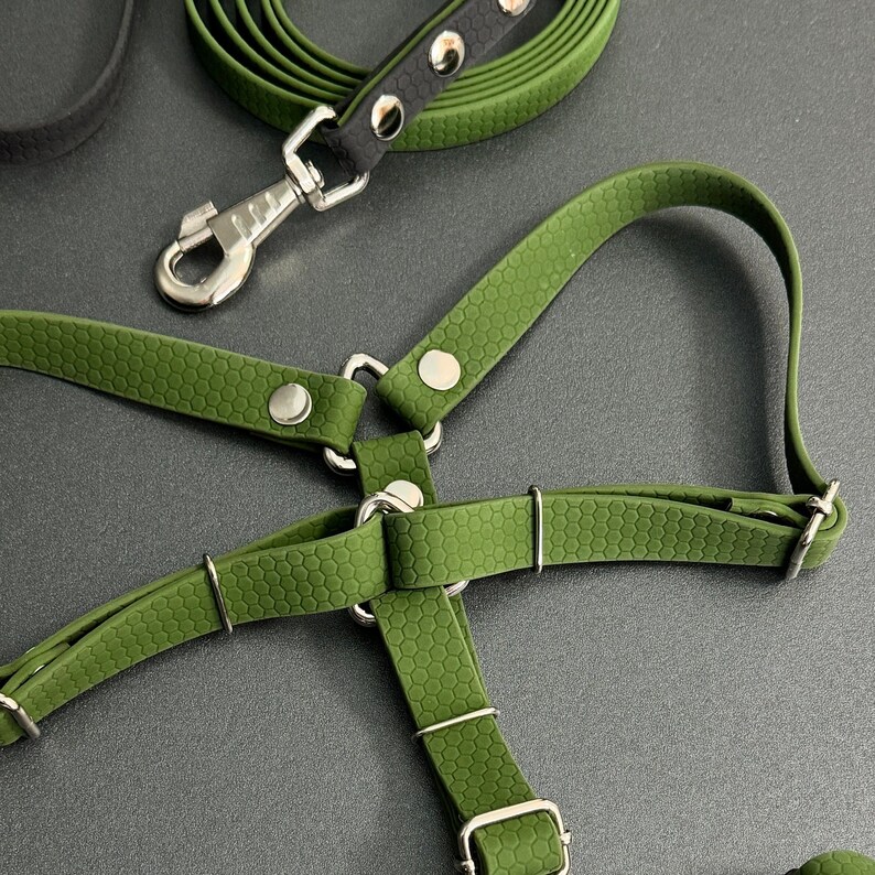 High Quality Personalization Of Pet Chest Strap / leash main image 1