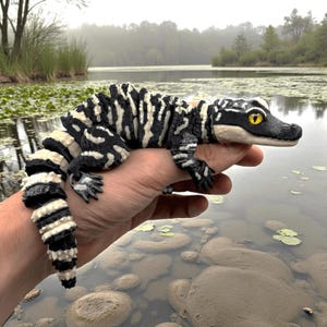 May include: A black and white patterned reptile with yellow eyes is held in a hand. The reptile has a detailed design, with stripes and spots. The background shows a lake with lily pads and a misty, overcast sky.