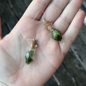 May include: A pair of earrings featuring small glass bottles with cork stoppers. Each bottle contains a small amount of green moss.