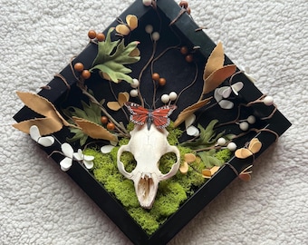 Skull, Bone, and Butterfly Art with Moss and Flowers
