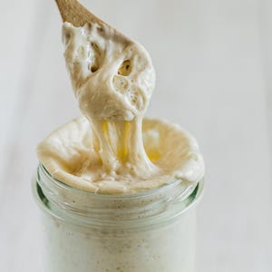 Helen - Over 100 year old Hungarian AP flour Sourdough Starter Levain Fed Organic Flours