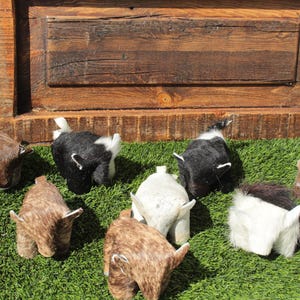 May include: A group of eight small, plush animal figurines in various colors and patterns. The figurines are arranged on a green grassy surface. The figurines are shaped like cows, with brown, black, and white fur.