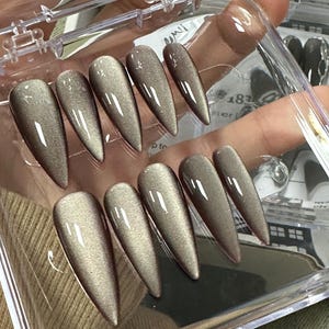 Peut inclure: Un &eacute;tui en plastique transparent contenant 10 faux ongles longs, pointus, brun et or. Les ongles sont dispos&eacute;s en deux rang&eacute;es.