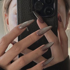 Peut inclure: Gros plan sur des ongles longs et pointus, ombr&eacute;s avec un d&eacute;grad&eacute; de paillettes argent&eacute;es. Les ongles sont peints d'une base brun fonc&eacute; qui s'estompe en argent clair aux extr&eacute;mit&eacute;s.
