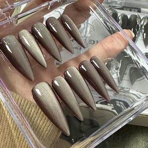 Peut inclure: Un &eacute;tui en plastique transparent contenant dix faux ongles longs, pointus, brun et argent&eacute; chatoyants.
