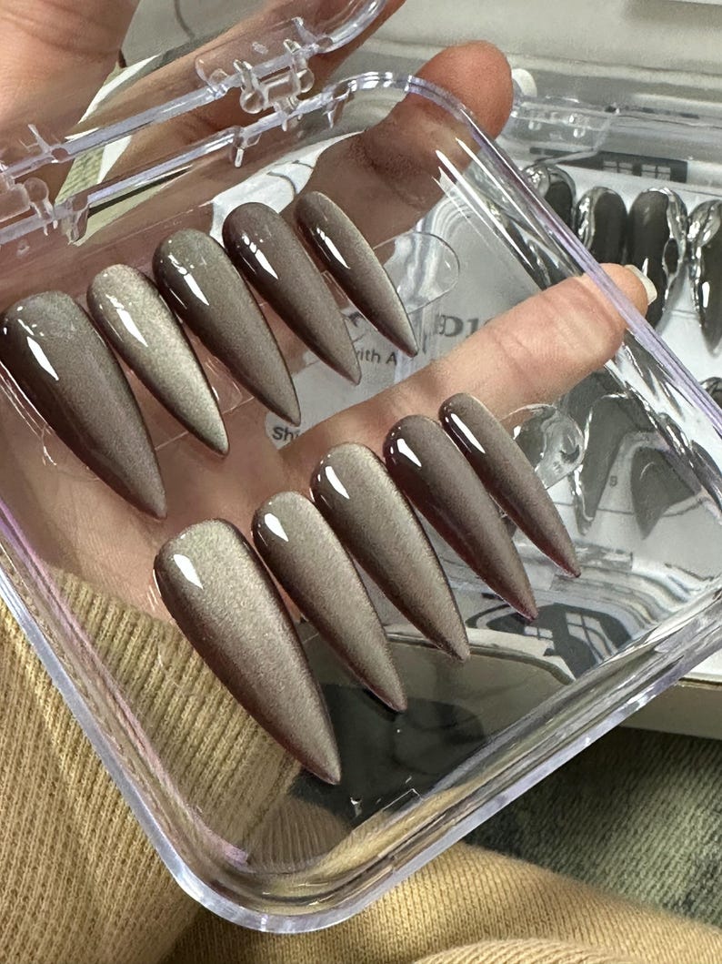 Peut inclure: Un &eacute;tui en plastique transparent contenant dix faux ongles longs, pointus, brun et argent&eacute; chatoyants.