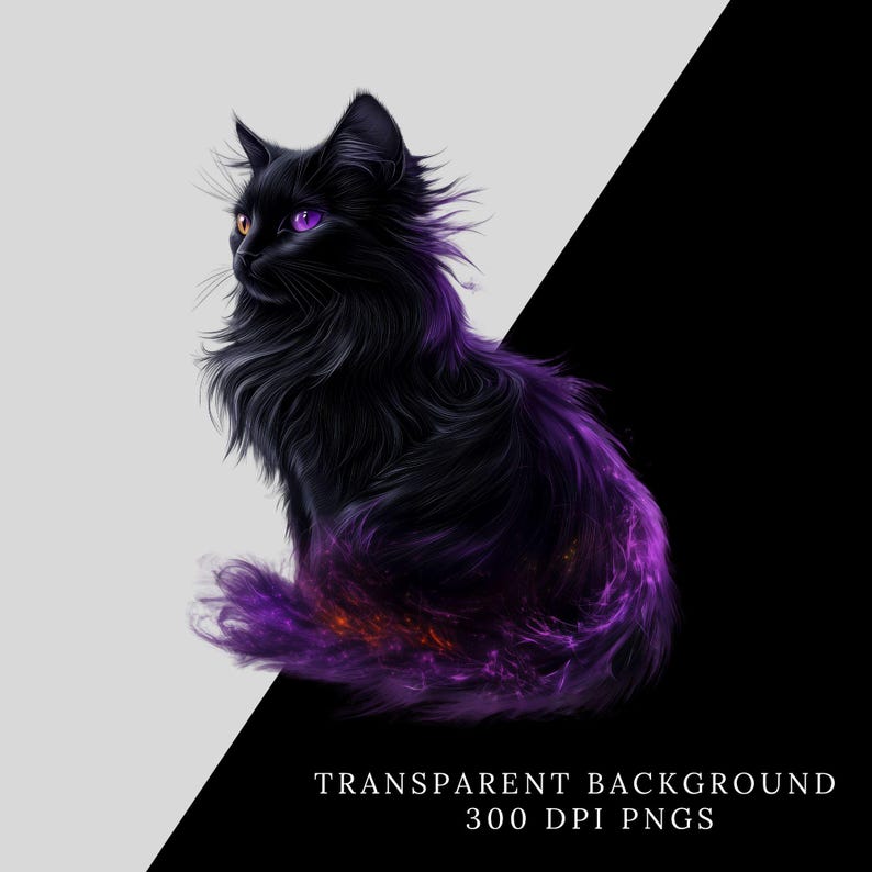 May include: A black cat with purple and orange glowing fur. The cat has bright purple eyes and is sitting on a white and black background.