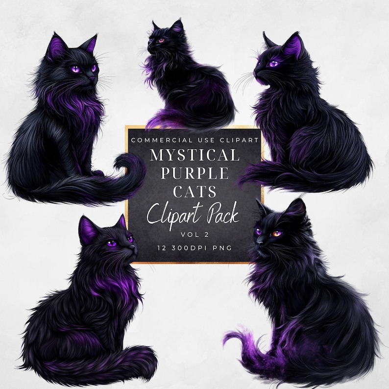 May include: Four black cats with purple highlights sit in different poses. The cats have bright purple eyes and are against a white background. The text "Mystical Purple Cats Clipart Pack Vol 2 12 300DPI PNG" is on a black rectangle.