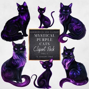 Mystical Black Cat Clipart- Magical Purple Witch Cat-Spooky-Magic School pet-Halloween- PNG-commercial use