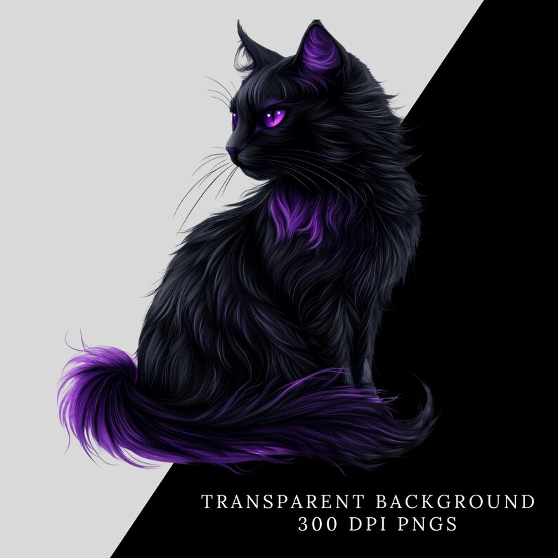 May include: A black cat with purple highlights sits with its tail curled around its body. The cat has bright purple eyes and a fluffy coat.