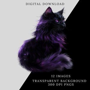 May include: A black cat with purple highlights sits on a white and black background. The cat has bright purple eyes and a fluffy tail. The image is a digital download of 12 images with transparent backgrounds.