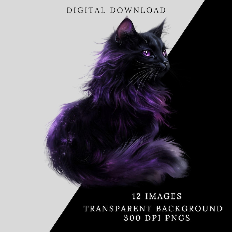 May include: A black cat with purple highlights sits on a white and black background. The cat has bright purple eyes and a fluffy tail. The image is a digital download of 12 images with transparent backgrounds.
