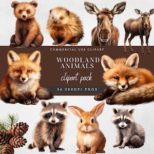 Clipart animaux des bois-renards, ours, raton laveur, lapin, hibou, cerf, orignal - baby shower, animaux de la forêt mignons-photo réaliste-usage commercial
