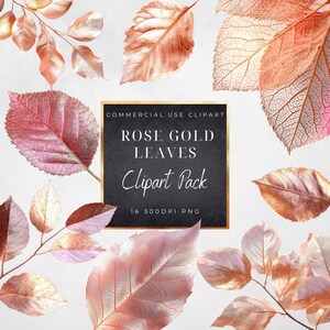 May include: Rose gold leaves clipart pack with a variety of leaf designs. The leaves are in shades of pink and copper, with intricate vein details. The text on the image reads "Rose Gold Leaves Clipart Pack".