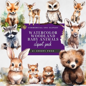 Clipart aquarelle pour bébés animaux des bois - bébés renards, ours, raton laveur, lapin, hibou, cerf - baby shower, joli bébé animaux de la forêt - usage commercial