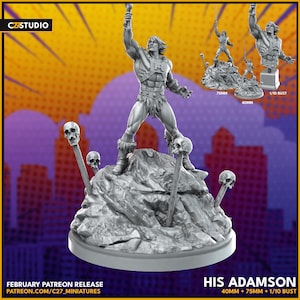 He-Man - Masters of the Universe -  3d Printed TTRPG Miniature
