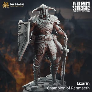 Champion of Renmaeth - 3d Printed TTRPG Miniature