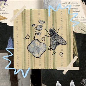 May include: A collage with a fly illustration, a gray stone, and the word "please". The fly is detailed, with a textured look. The background includes vintage paper and fabric, creating a layered effect.