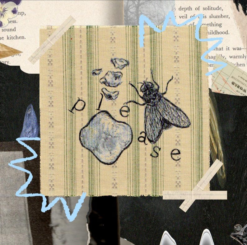 Op de afbeelding: Collagekunst met een vliegenillustratie, een grijze steen en het woord "please". De vlieg is gedetailleerd, met een textuur. De achtergrond bevat vintage papier en stof.