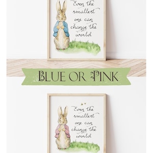 May include: Two framed prints featuring a watercolor illustration of a rabbit wearing a jacket, standing on grass. The text "Even the smallest one can change the world" is written in cursive. One print has a blue jacket, the other a pink jacket.