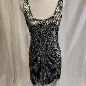 Pu&ograve; includere: Un abito senza maniche di paillettes argento e nero con scollo rotondo.