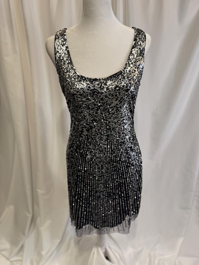 Pu&ograve; includere: Un abito senza maniche di paillettes argento e nero con scollo rotondo.