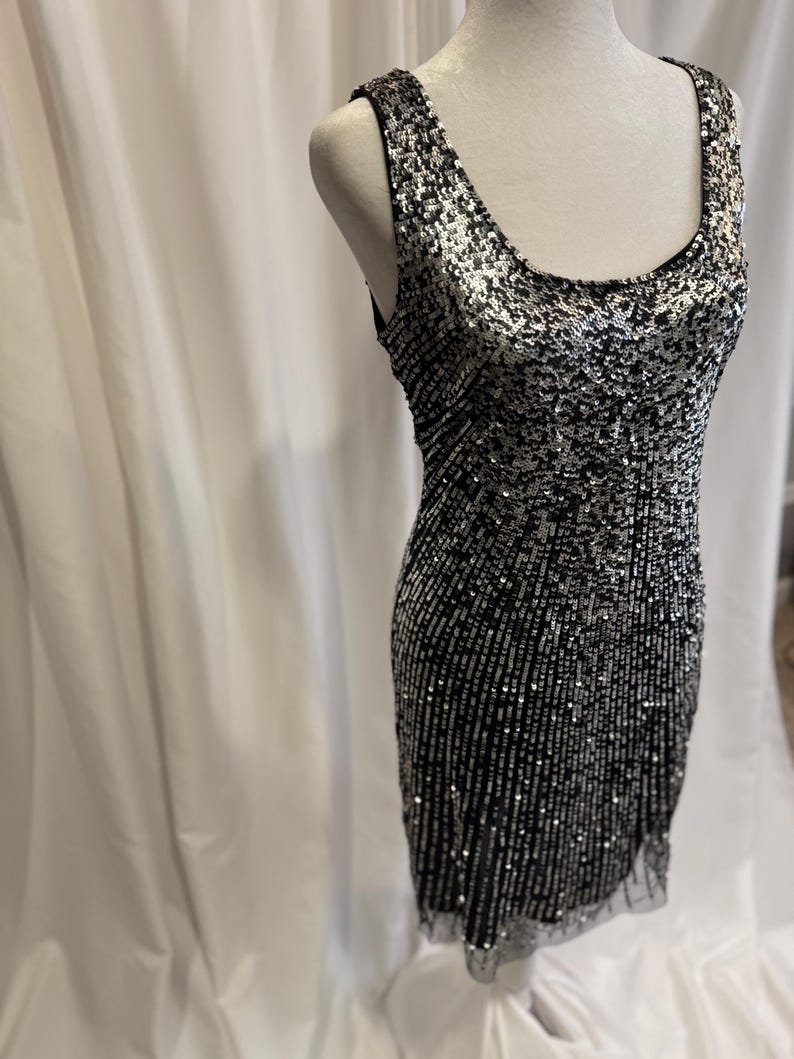 Pu&ograve; includere: Un abito senza maniche con paillettes e scollo rotondo. L'abito &egrave; nero e argento e ha una silhouette aderente.