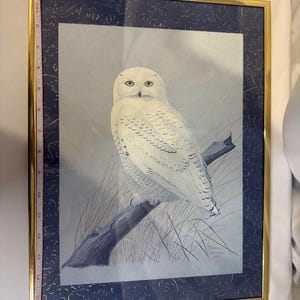 May include: Framed print of a snowy owl perched on a branch. The artwork features a white owl with detailed feathering, set against a soft blue background. The frame is gold with a dark blue border. The frame measures approximately 16 inches in height.