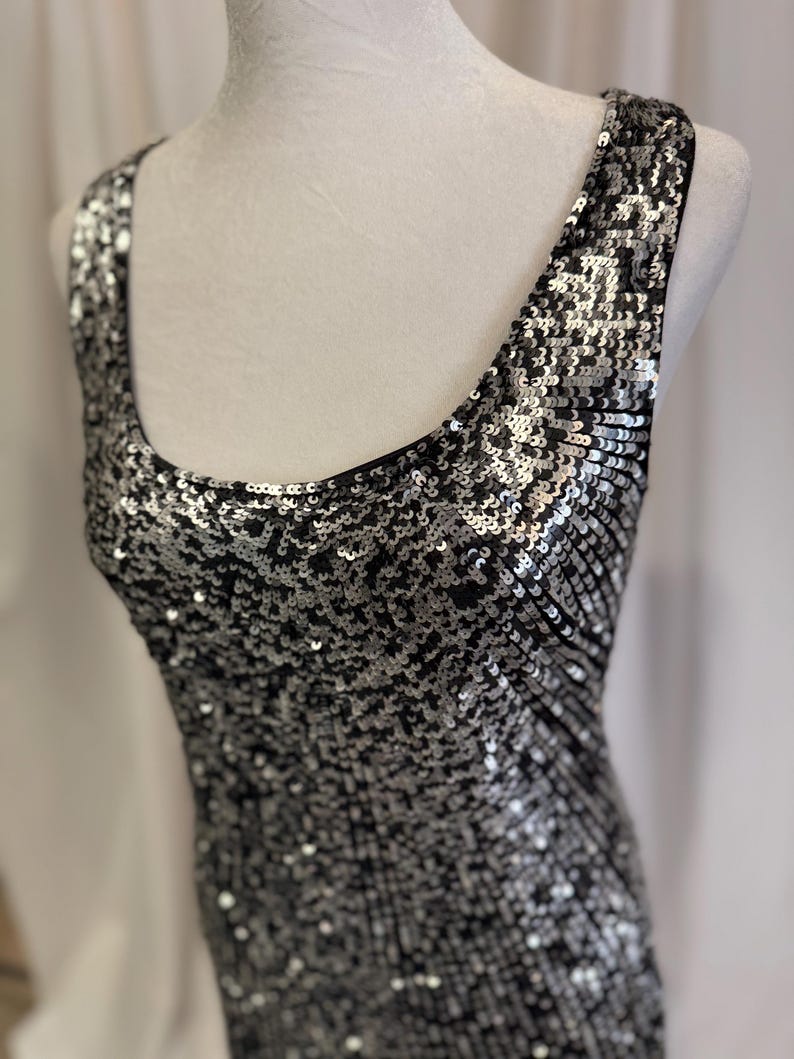 Pu&ograve; includere: Un abito senza maniche con paillettes e scollo rotondo. L'abito &egrave; realizzato in tessuto nero con paillettes argentate.