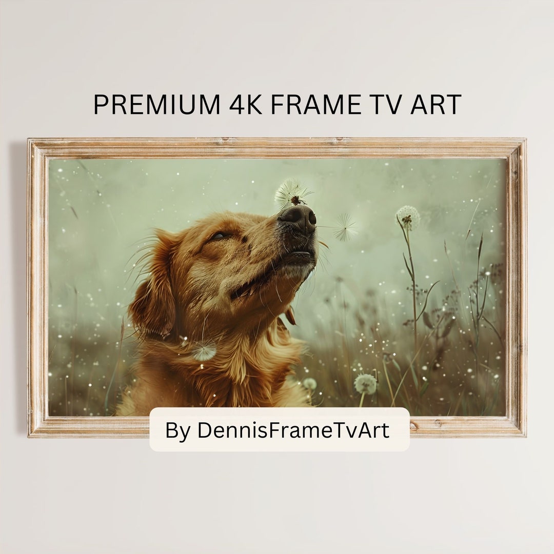 Golden Retriever Frame TV Art Summer, Dog in Field Rustic Artwork ...