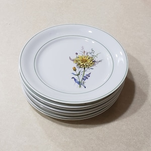 Antique flower plates. White porcelain plate set. German dishes. Hand painted plates. Fancy desert plated. Collectible dishes. Dinner party