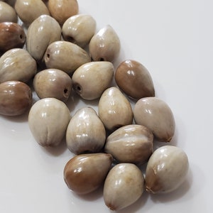 Natural wood beads for necklaces. Barrel beads for mala. Beads made from seeds. Beige jewelry making elements. Old stock rustic beads