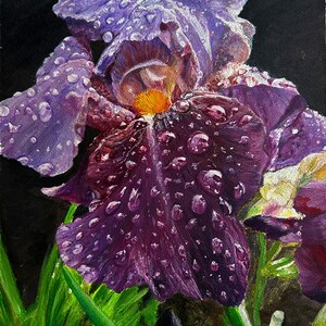 Después de la Lluvia-pintura acrilica original sobre lienzo en un solo ejemplar, obras de arte florales, cuadros de flores, motivos florales, para regalo, regalo