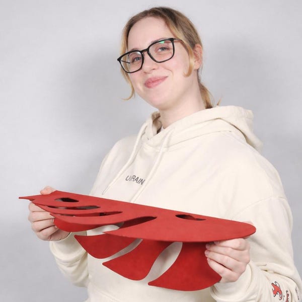 Red Metal Floating Shelves, Modern Monstera Wall Shelf Gift for Mother