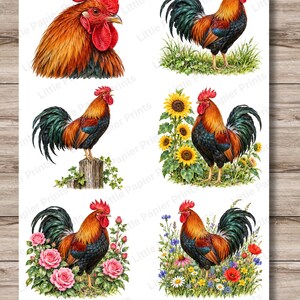 May include: A sheet of six rooster illustrations featuring a head portrait, a standing rooster in grass, one on a wooden post, one with sunflowers, one with pink roses, and one with wildflowers. The text Little Papier Prints is visible.