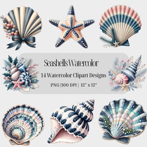 Conchas marinas de acuarela Clipart Conchas marinas pastel para sublimación Decoupage Revistas basura Bodas en la playa Decoración del hogar y manualidades PNG para artesanos