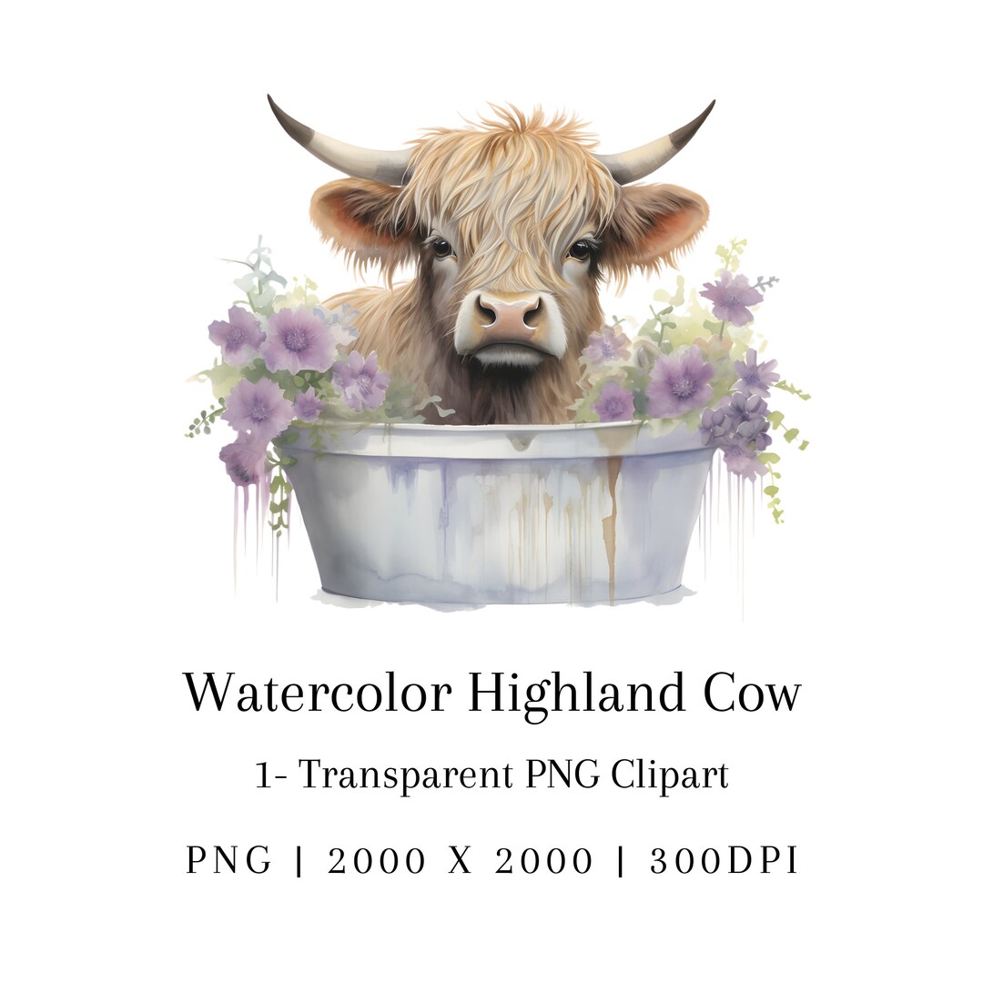 Highland Cow Watercolor PNG Clipart for Sublimation Commercial Use ...