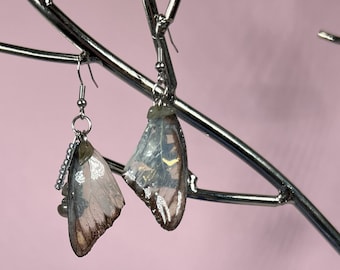 Pendientes de alas de mariposa reales