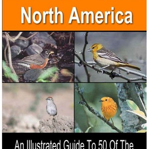 50 Common Birds of North America