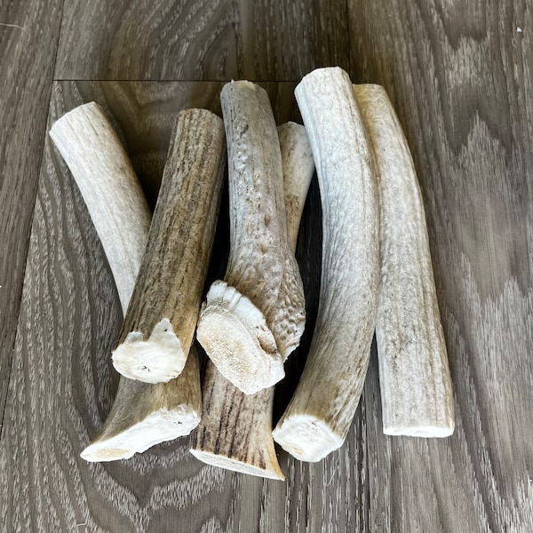 Medium Antler Dog Chew, Dog Chew, Dog Bones, Natural Chew, Dog Treats (1 pc)